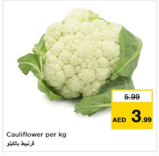 Cauliflower available at Nesto Hypermarket in UAE - Fujairah