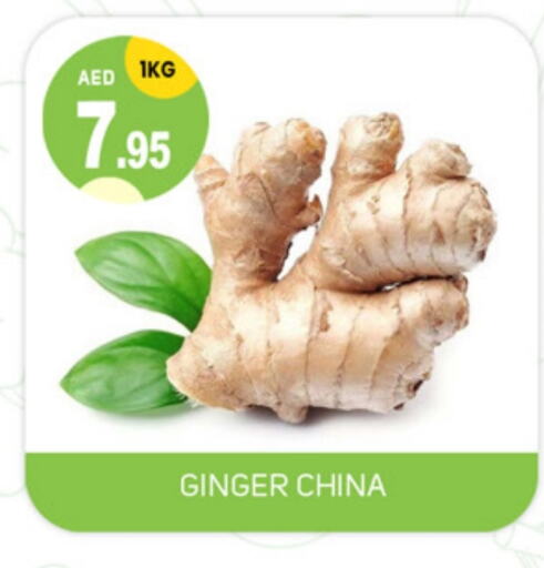 Ginger from China available at TALAL MARKET in UAE - Sharjah / Ajman