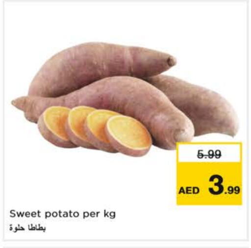 Sweet Potato available at نستو هايبرماركت in الإمارات العربية المتحدة , الامارات - الشارقة / عجمان