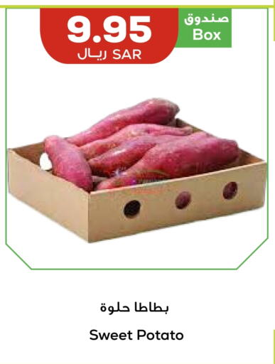 Sweet Potato available at أسواق أسترا in مملكة العربية السعودية, السعودية, سعودية - تبوك