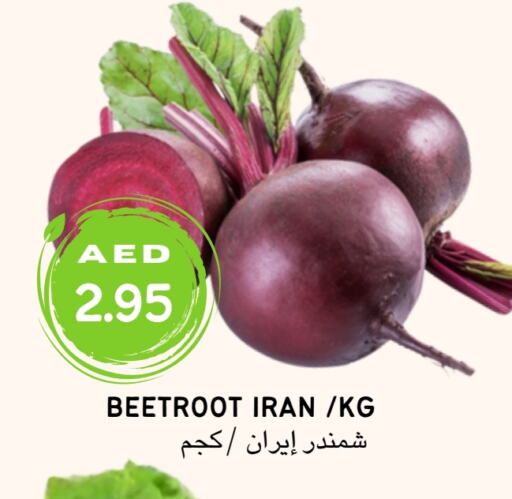 شمندر from Iran available at Select Market  in الإمارات العربية المتحدة , الامارات - أبو ظبي