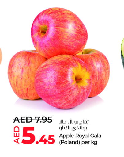 تفاح from Poland available at لولو هايبرماركت in الإمارات العربية المتحدة , الامارات - أبو ظبي