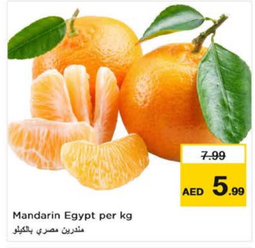 برتقال from Egypt available at نستو هايبرماركت in الإمارات العربية المتحدة , الامارات - الشارقة / عجمان