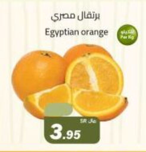 Orange from Egypt available at Supermarket Stor in KSA, Saudi Arabia, Saudi - Riyadh