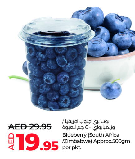 Blueberry BlueBerry from South Africa Zimbabwe available at Lulu Hypermarket in UAE - Al Ain