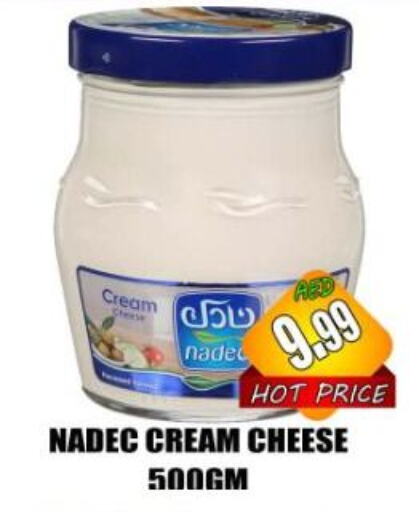 NADEC Cream Cheese available at Majestic Plus Hypermarket in UAE - Abu Dhabi