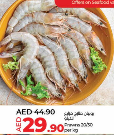 available at Lulu Hypermarket in UAE - Umm al Quwain