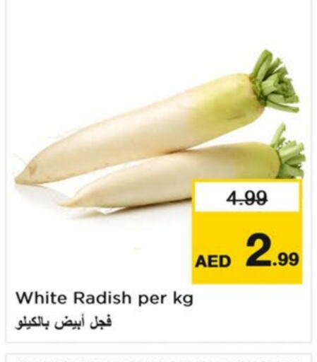 Radish available at Last Chance  in UAE - Fujairah