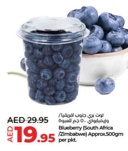 Blueberry BlueBerry from South Africa Zimbabwe available at لولو هايبرماركت in الإمارات العربية المتحدة , الامارات - ٱلْفُجَيْرَة‎