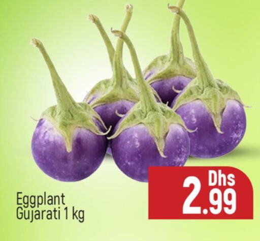 Eggplant available at المدينة in الإمارات العربية المتحدة , الامارات - دبي