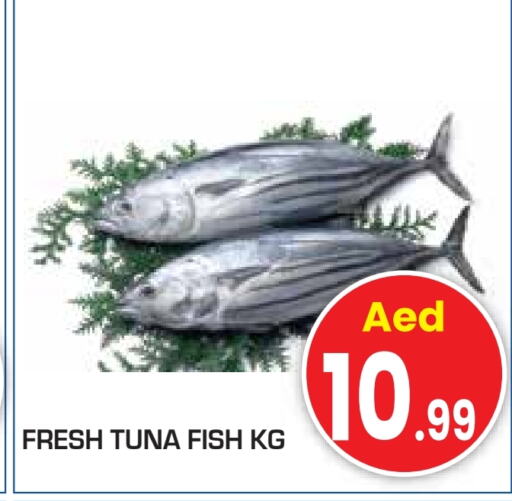 Tuna available at Baniyas Spike  in UAE - Al Ain