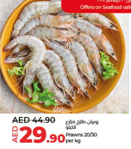 available at Lulu Hypermarket in UAE - Umm al Quwain