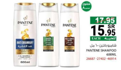 PANTENE Shampoo / Conditioner available at House Care in KSA, Saudi Arabia, Saudi - Mecca