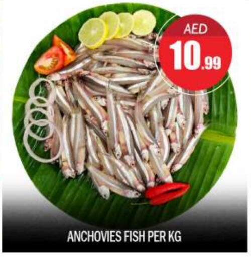 available at BIGmart in UAE - Abu Dhabi