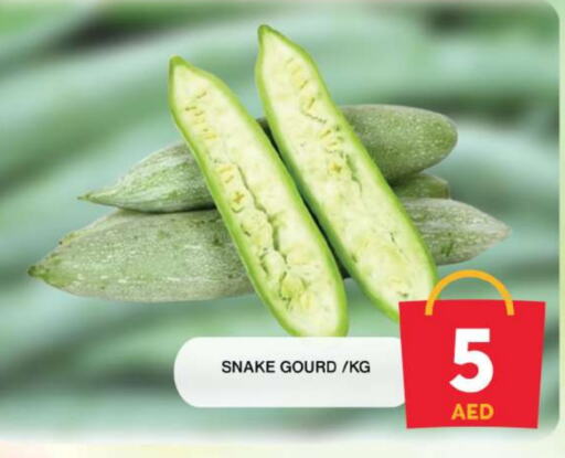 Gourd available at Grand Hyper Market in UAE - Sharjah / Ajman