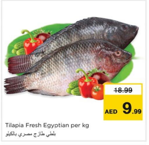 available at Nesto Hypermarket in UAE - Fujairah