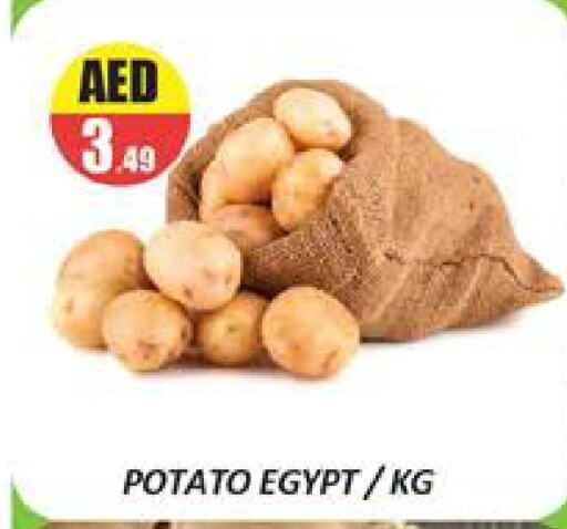 بطاطا from Egypt available at المدينة in الإمارات العربية المتحدة , الامارات - دبي