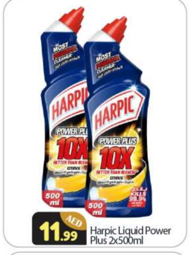 HARPIC Toilet / Drain Cleaner available at BIGmart in UAE - Abu Dhabi