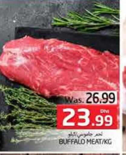 Buffalo available at PASONS GROUP in UAE - Al Ain