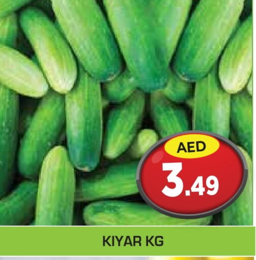 available at سنابل بني ياس in الإمارات العربية المتحدة , الامارات - أبو ظبي