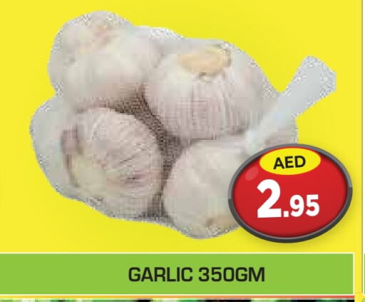 Garlic available at Baniyas Spike  in UAE - Sharjah / Ajman