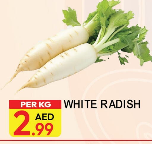 Radish available at Dream Land in UAE - Dubai