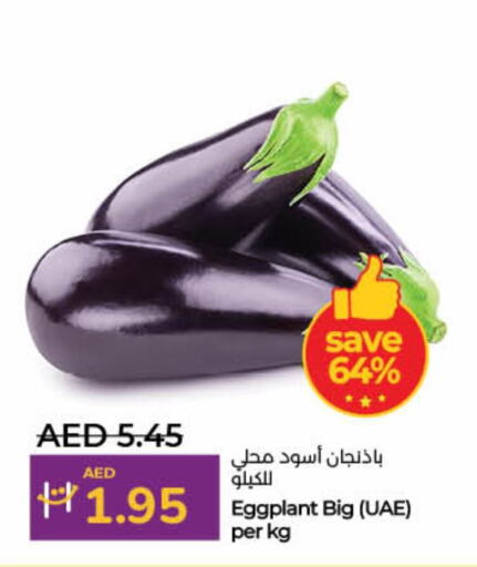 Eggplant available at لولو هايبرماركت in الإمارات العربية المتحدة , الامارات - ٱلْفُجَيْرَة‎