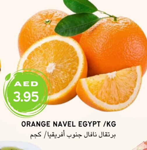 برتقال from Egypt available at Select Market  in الإمارات العربية المتحدة , الامارات - أبو ظبي