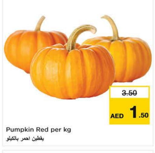 Pumpkin available at لاست تشانس in الإمارات العربية المتحدة , الامارات - الشارقة / عجمان