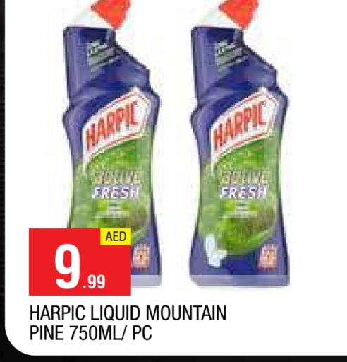 HARPIC Toilet / Drain Cleaner available at AL MADINA in UAE - Sharjah / Ajman