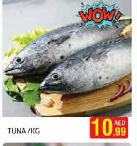 Tuna available at Palm Centre LLC in UAE - Sharjah / Ajman