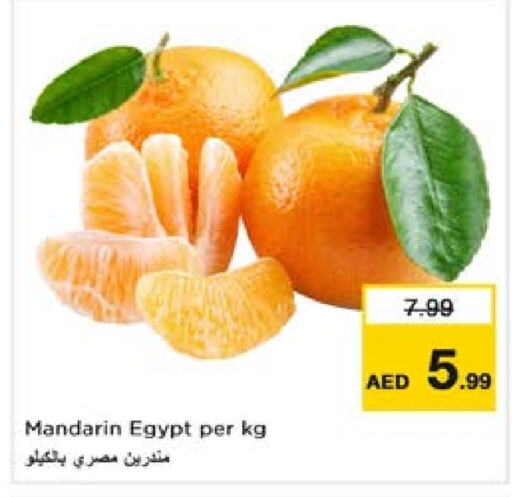 برتقال from Egypt available at نستو هايبرماركت in الإمارات العربية المتحدة , الامارات - ٱلْعَيْن‎