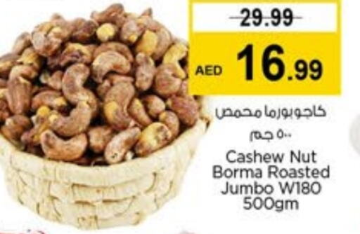 available at لاست تشانس in الإمارات العربية المتحدة , الامارات - ٱلْفُجَيْرَة‎