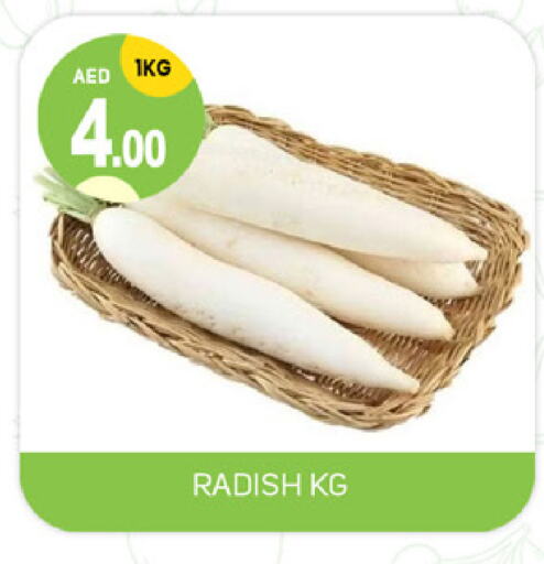 Radish available at TALAL MARKET in UAE - Dubai