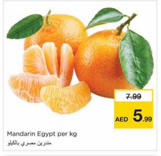 برتقال from Egypt available at نستو هايبرماركت in الإمارات العربية المتحدة , الامارات - الشارقة / عجمان