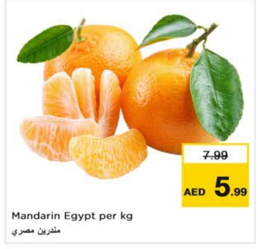 برتقال from Egypt available at نستو هايبرماركت in الإمارات العربية المتحدة , الامارات - الشارقة / عجمان