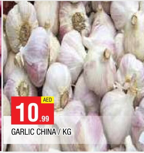 Garlic from China available at AL MADINA in UAE - Sharjah / Ajman