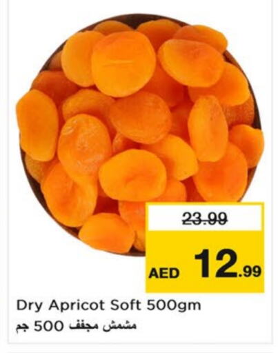 Apricot available at لاست تشانس in الإمارات العربية المتحدة , الامارات - ٱلْفُجَيْرَة‎