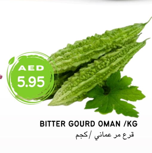 قرع from Oman available at Select Market  in الإمارات العربية المتحدة , الامارات - أبو ظبي