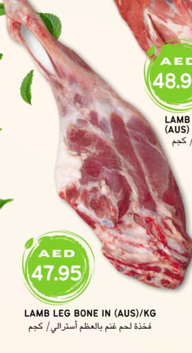 لحم الضأن / الغنم available at Select Market  in الإمارات العربية المتحدة , الامارات - أبو ظبي