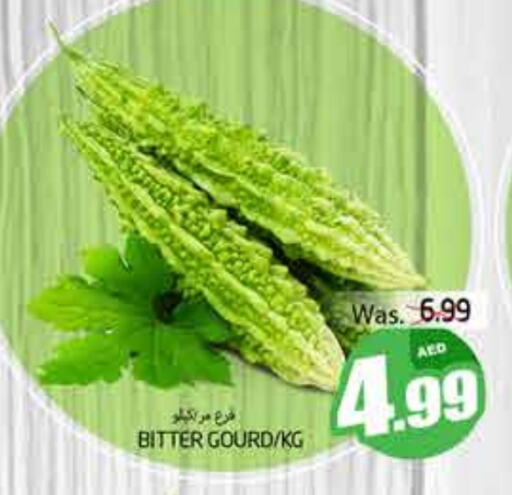 Gourd available at PASONS GROUP in UAE - Al Ain