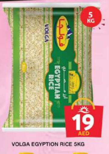 VOLGA Calrose Rice available at Grand Hyper Market in UAE - Dubai