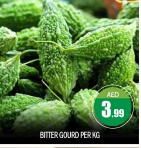 Bitter Gourd available at BIGmart in UAE - Abu Dhabi