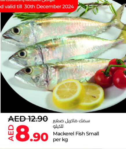 available at Lulu Hypermarket in UAE - Al Ain