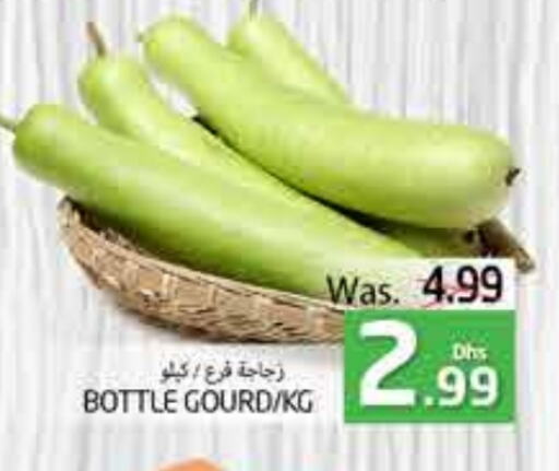 Gourd available at PASONS GROUP in UAE - Al Ain