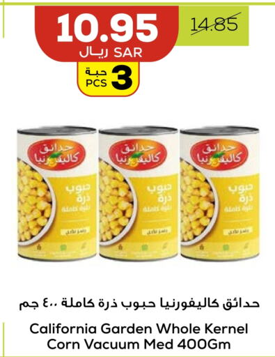 كاليفورنيا جاردن available at أسواق أسترا in مملكة العربية السعودية, السعودية, سعودية - تبوك