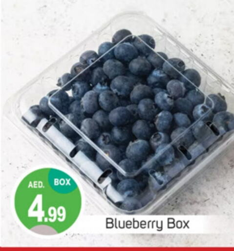 Blueberry BlueBerry available at سوق طلال in الإمارات العربية المتحدة , الامارات - الشارقة / عجمان