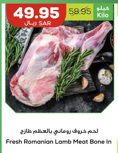 لحم الضأن / الغنم available at أسواق أسترا in مملكة العربية السعودية, السعودية, سعودية - تبوك