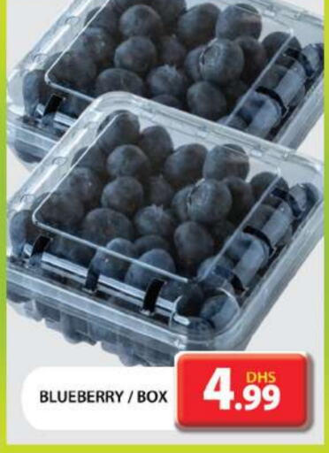 Blueberry BlueBerry available at جراند هايبر ماركت in الإمارات العربية المتحدة , الامارات - دبي