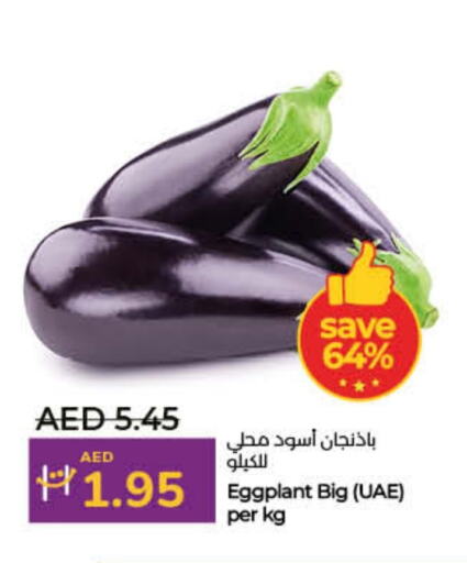 Eggplant available at لولو هايبرماركت in الإمارات العربية المتحدة , الامارات - ٱلْفُجَيْرَة‎